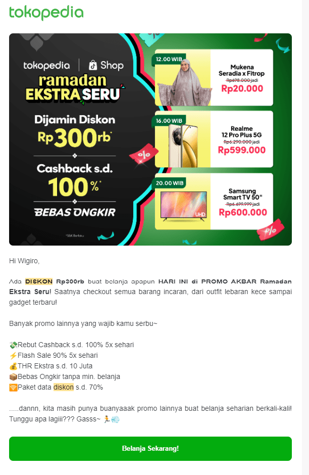 contoh promotional email